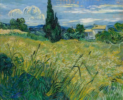 Grüner Weizen, 1889 von Vincent van Gogh